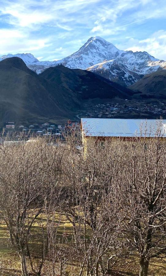 فندق Golden Star Kazbegi المظهر الخارجي الصورة